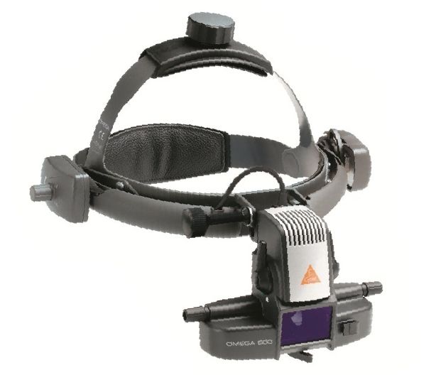 OMEGA500